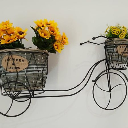 El Bressol De La Muntanya Apartment Ripoll Ngoại thất bức ảnh