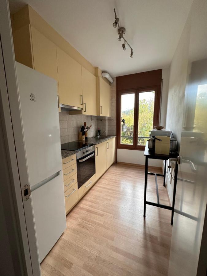 El Bressol De La Muntanya Apartment Ripoll Ngoại thất bức ảnh